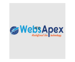 WebsApex - eCommerce Website Design and Development Company