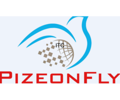 Pizeonfly | Digital Agency in Delhi  New Delhi  Delhi NCR | SEO Agency | Social Media