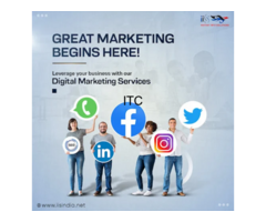 Instant Info Solutions - Digital Marketing Company in Delhi (Iis india)