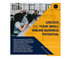 Viral Vista | Digital Marketing service in Ashram l Website design | SMM