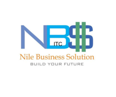 nile business solutions