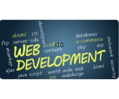 Jingle Infotech Limited