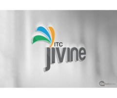 Jivine
