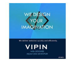 Vipin : Freelance Website Designer in Delhi India | Best eCommerce Website Development