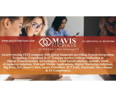 Mavis IT Services Pvt. Ltd