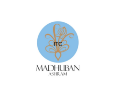 Freelance Graphic Designer