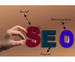 SEO Expert Delhi