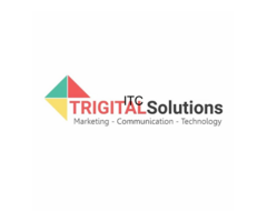 Trigital Solutions Pvt. Ltd -  Digital Marketing Agency   SEO  SEM  Social Media Agency