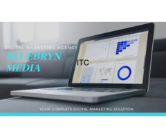 Bluebryn Media Digital Marketing Company(PPC  SEO  SMO Website Designing) in Delhi