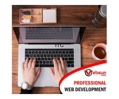 Websun India | Website Designing | Development | Ecommerce Website in Pitampura  Rohini  Delhi