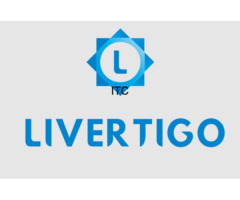 Livertigo Website  AI Company in Delhi