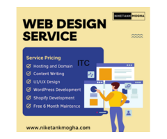 Niketank Mogha - Freelance Website Designer in Delhi