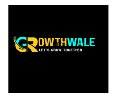 Growthwale - The Digital Marketing
