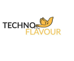 Techno Flavour