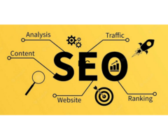 Blue Moon Technologies  SEO Company in Delhi - Digital Marketing Agency  Website Designing Company