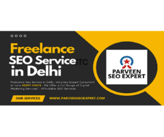Freelance SEO Services in Delhi  Noida  Gurgaon  (SEO EXPERT)