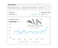 Soft Market Solution - Best SEO and Digital Marketing Agency in Delhi