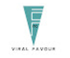 Viral Favour - Digital Marketing