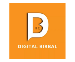 Digital Birbal