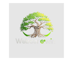 Webcorewin Business Solution LLP | Top Website & Software Development Company