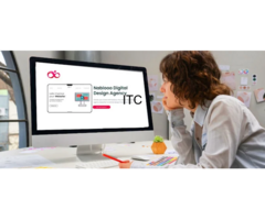 Nablooo (Website Developer)