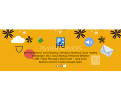PG Web Services