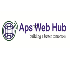 Aps Web Hub - Website Desinging Company
