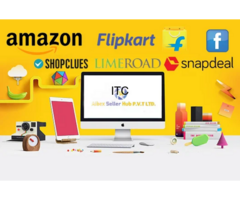 Aibex Seller Hub Pvt Ltd