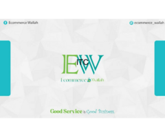 Ecommerce Wallah | E-commerce Services