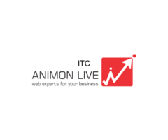 Animon Live digital marketing agency