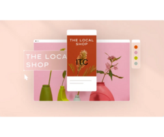 Ample Wings eCommerce Services