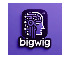 Bigwigmedia.AI
