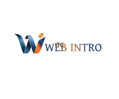 WEB INTRO