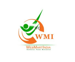 WebMartIndia | Website Designing Company in Delhi  India | Seo Services in Delhi  India