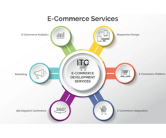 ECOMSOFT GLOBAL SERVICES