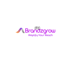 Brandz Grow- SEO Services in Delhi