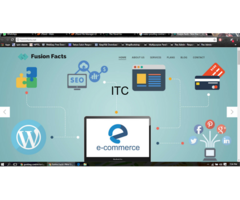 Fusion Facts : New Era Of Digital Marketing