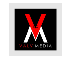 Valv Media - Best Digital Marketing Company In Delhi | Social Media Marketing |