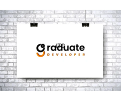 Graduate Developers