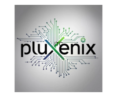 Pluxenix Services : Website designing company