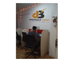 Digitally Bird | Best eCommerce Website Design and Development company in Delhi  India
