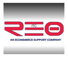 Rey Ecom Ops Pvt Ltd - An Ecommerce Virtual Assistant (Delhi)