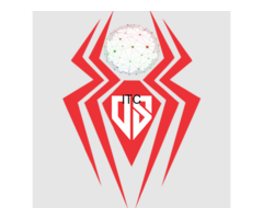 Digit Spider | Digital Marketing Agency - Shahdara