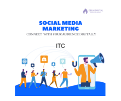 Delhi Digital Marketing Agency
