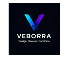 Veborra - Best Digital Marketing Agency In Delhi |