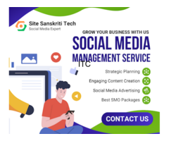 Site Sanskriti Tech - Best Digital Marketing and Website Designing In East Delhi India.