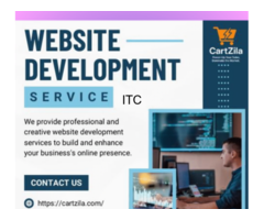 CartZila - Ecommerce Account Management Service Provider.