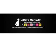eBizz Growth -Best Ecommerce Service Provider