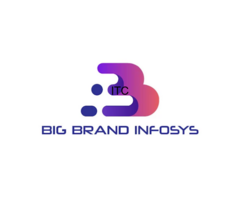 Big Brand Infosys - Digital Marketing Agency