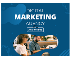 Web Design | Web Development | SEO Company - VolitionTec